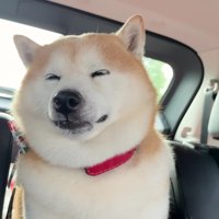 斜めになって体を脱力