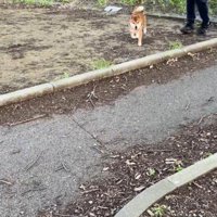 ドッキリに対する福ちゃんの反応7