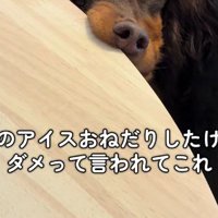 断られてしまって…