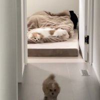 すぐさま引き返します