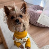 どんな姿も最高に可愛い♡