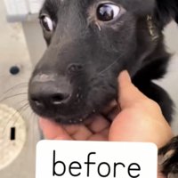 ビフォー写真