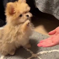 大きく振りかぶって…