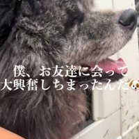 「会えてうれしい♡」