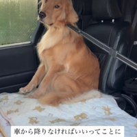 「そっちは行かない」