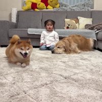 うにくんだけがスタート