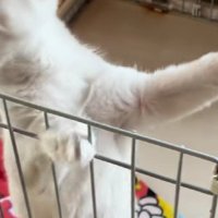 あえなく滑って失敗