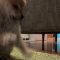 将来は大物に成長します！！