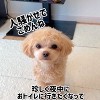 元気を取り戻したよ♪