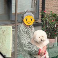 癒し