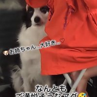 作業中のお姉ちゃんとアグちゃん⑩