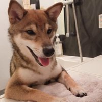 「構って！」と笑顔でアピール