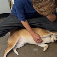 ぽんた君の変化⑩