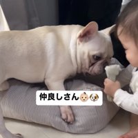 おもちゃを持つ赤ちゃん