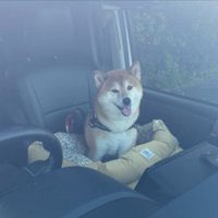 車内