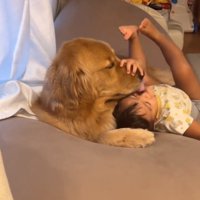 イチャイチャするふたり