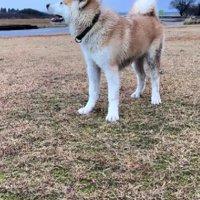 意外とスレンダーだった！？