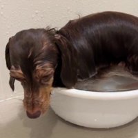 なんとしてでもお湯に浸かりたい