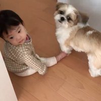 コロくんと赤ちゃんのシンクロ5