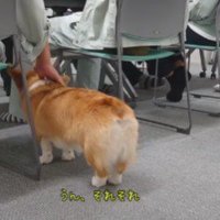 なでなでにご満悦♡