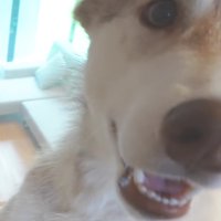 思わず困惑の表情に！