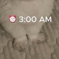 ちろ君の足元