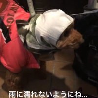愛情たっぷりの即席レインスタイル♡