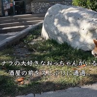 酒屋の前に来たら…