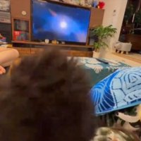 飼い主さんにぶつかるある君