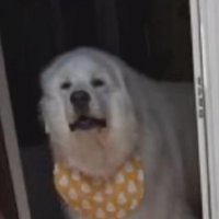 嬉しいサプライズ！！