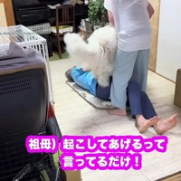 容赦ない攻撃に爆笑♪