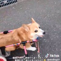 笑顔のくぅちゃん