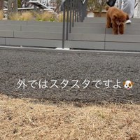 降りるのも余裕♪