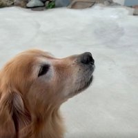 チャイムに合わせて歌うよ♪