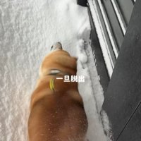 なんとか脱出成功