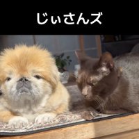 日が当たってぬっくぬく