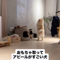 気持ちは行動で示します
