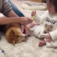 頑張るほのちゃん