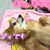 キャンディちゃんは患者役