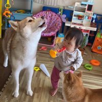 ロッキーくんと赤ちゃんの音楽会