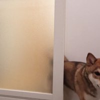 おはぎちゃんが会いに来ました♪