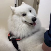 「着いちゃった…」