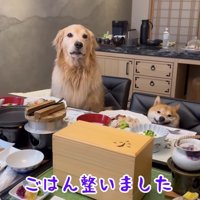 一緒に食卓を囲みます