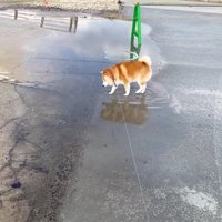 慎重に…慎重に…