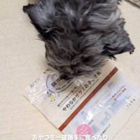 おやつを完食したルアナちゃん