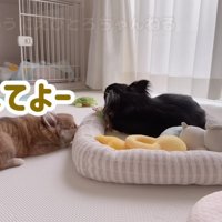 「やっぱり貸して！！」