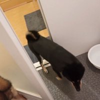 ぴょん吉くんもお風呂場へ