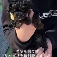 リハビリを開始！！