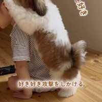 男の子の背中に抱きつく子犬