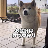 外で待つ犬